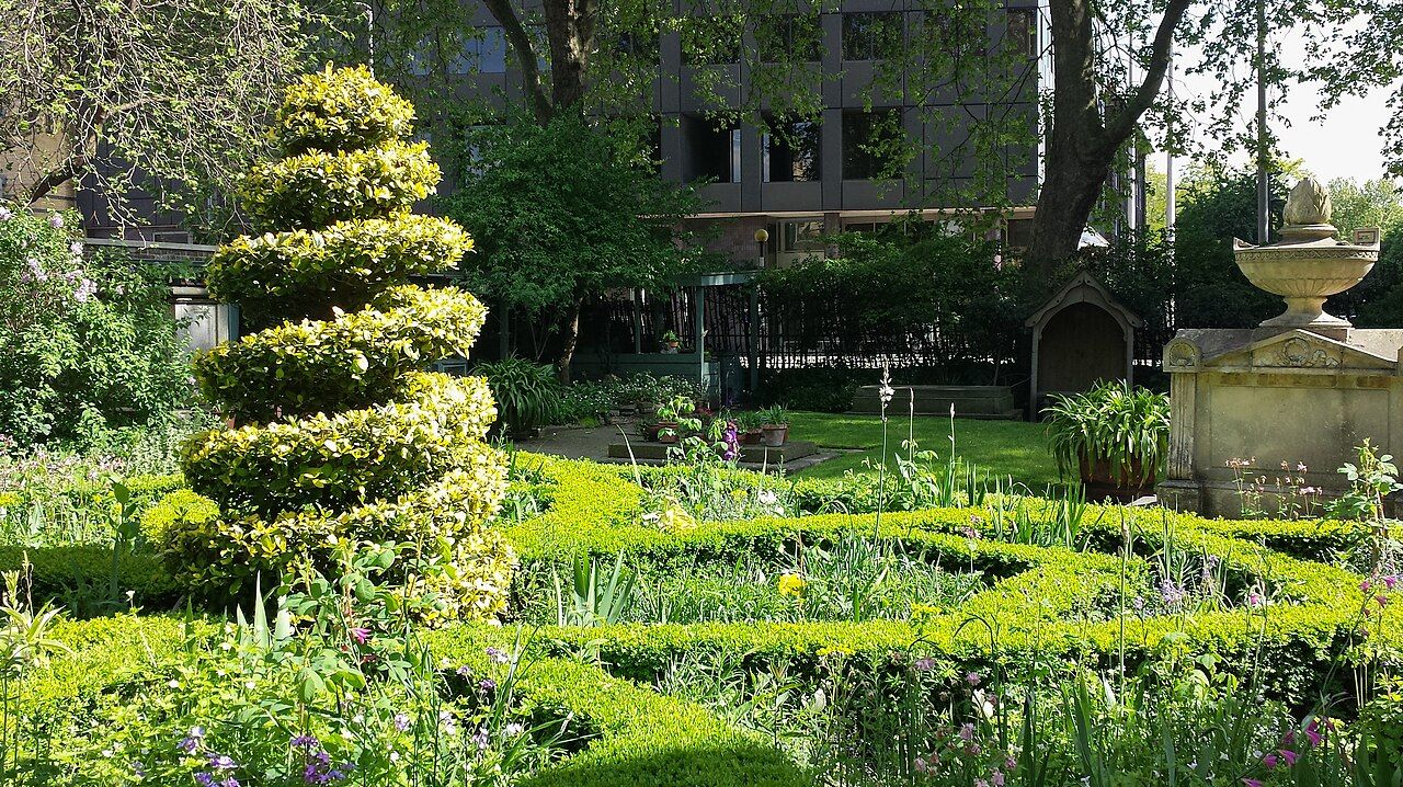 Low clipped hedges in a knot garden with a spiral topiary
