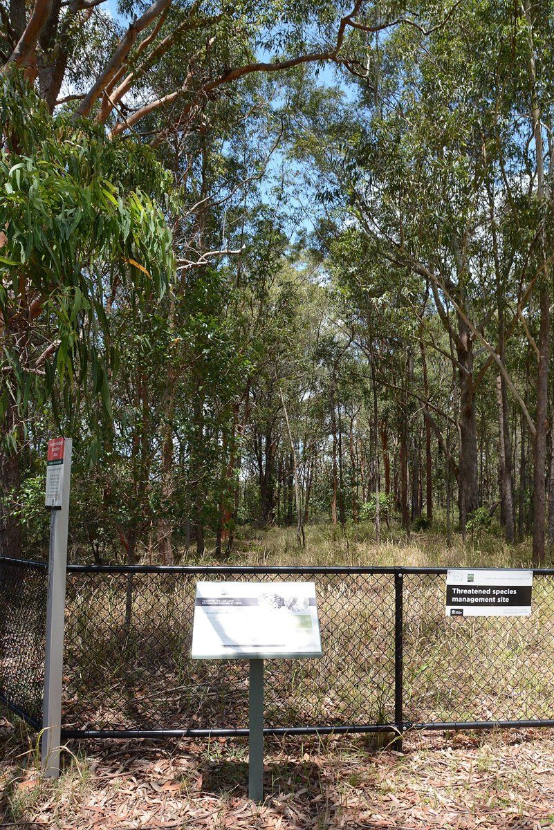 Eucalypt bushland behind a low fence and signs at Sir David Martin Reserve, South Turramurra