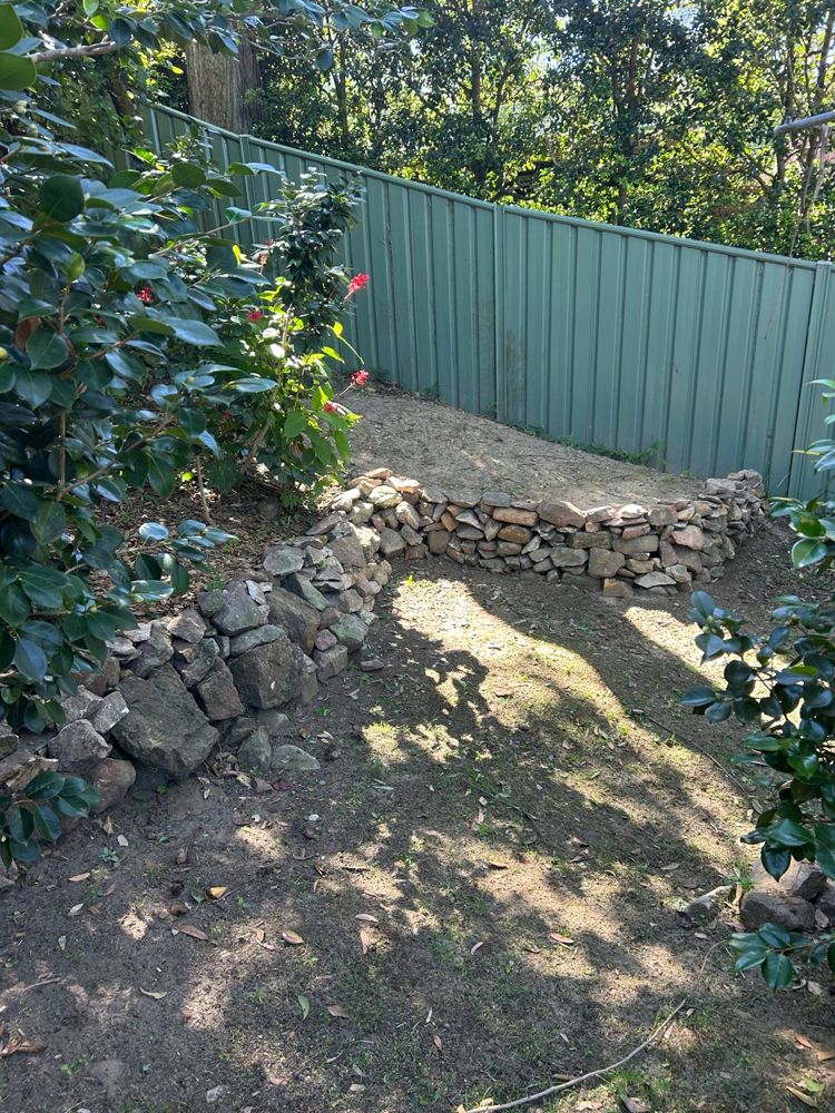 After: the same corner cleared, with a curved dry stone retaining wall of hand-stacked natural stone holding a level bed of fresh soil along the green metal fence, camellias kept at the side
