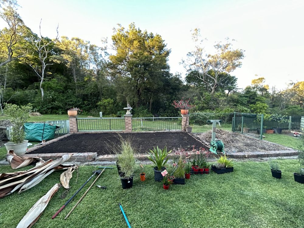 Step 1: a rectangular garden bed of freshly prepared dark soil edged in brick, with potted native plants laid out on the lawn in front, ready for planting