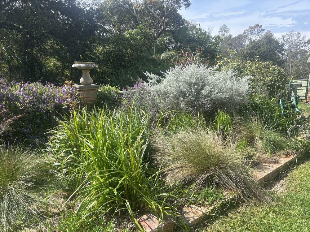 Step 4: close-up of the grown-in bed, with soft tufted grasses and strappy leaves at the front, a large silver-leaved shrub behind and purple flowers at the side